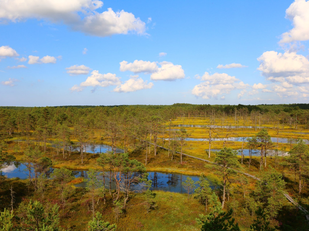 Viru Bog Trail-Kolga必去景点