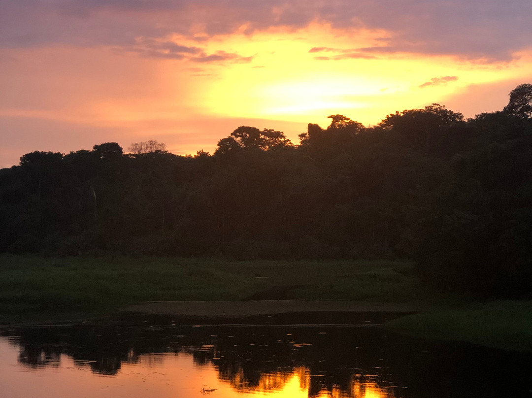 Jungle Land Panama Floating Lo主图