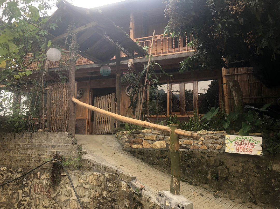 布法罗幸运德西山林小屋主图