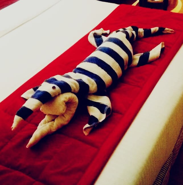 TGI Grand Fortuna主图