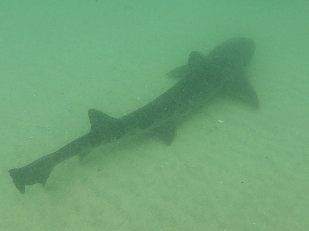 SD Expeditions-拉荷亚必去景点