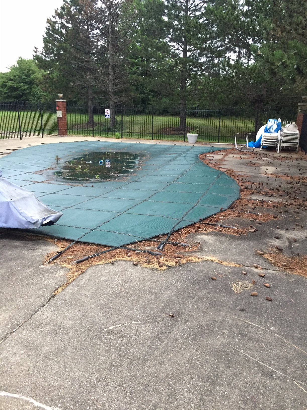 Comfort Inn Cleveland Airport-泳池