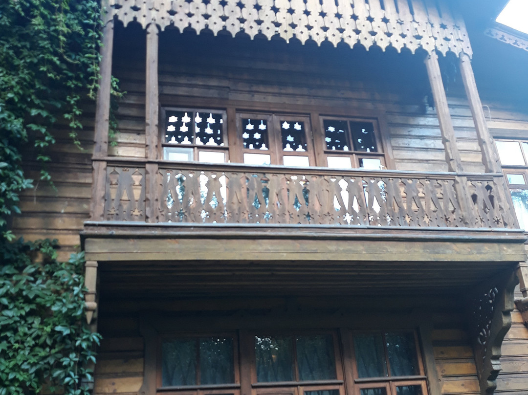House Museum PP Chistyakov景点图片