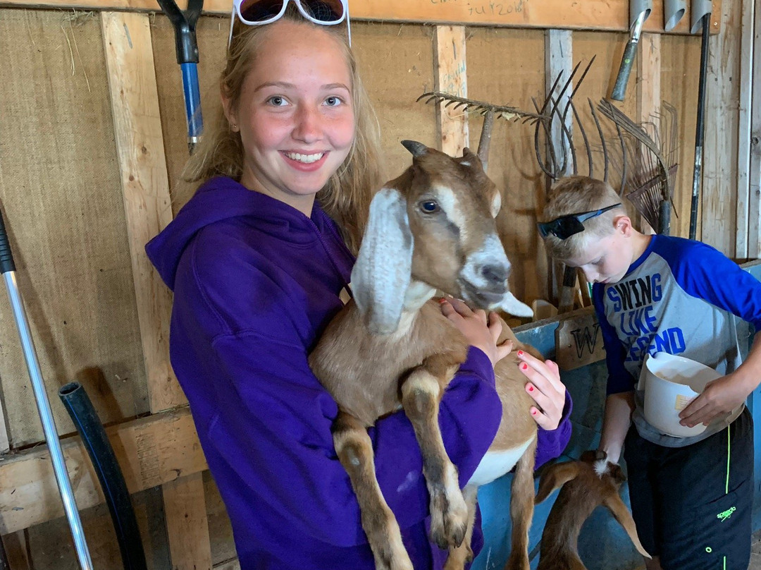 Groovy Goat Farm & Soap Company-Ingonish必去景点