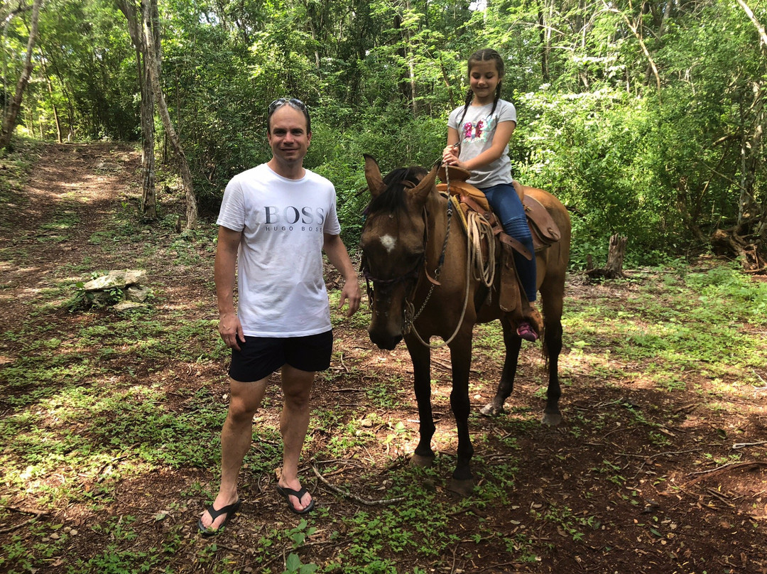 Mayaland-乌科斯玛必去景点