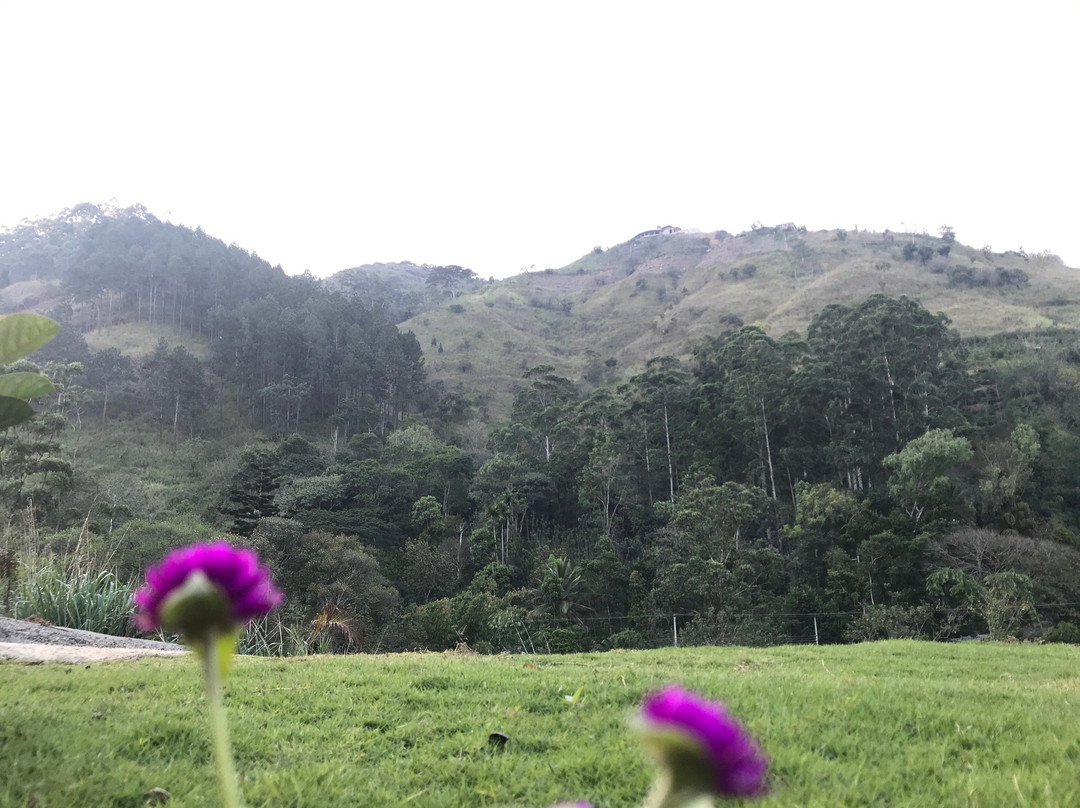 Aloft Grand Hotel主图