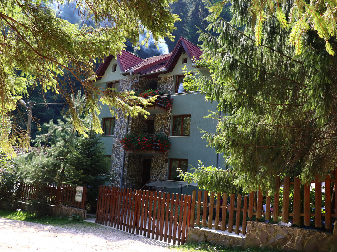 Paradise Valley - Valea Paradisului Pension主图