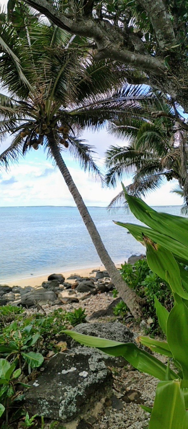 Muri Beach Cottages-浴室