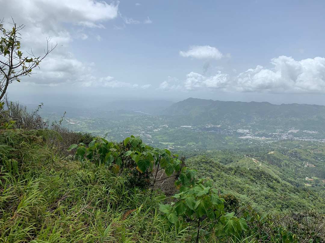 Cerro de Punta景点图片