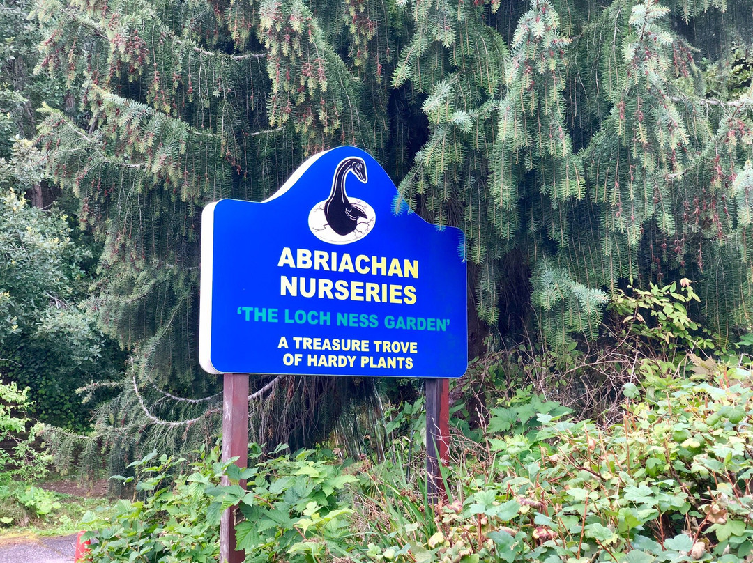 Abriachan Nurseries - The Garden On Loch Ness-Abriachan必去景点
