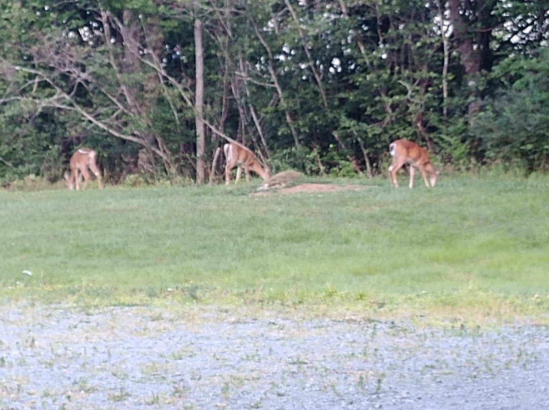 Homeport Motel主图