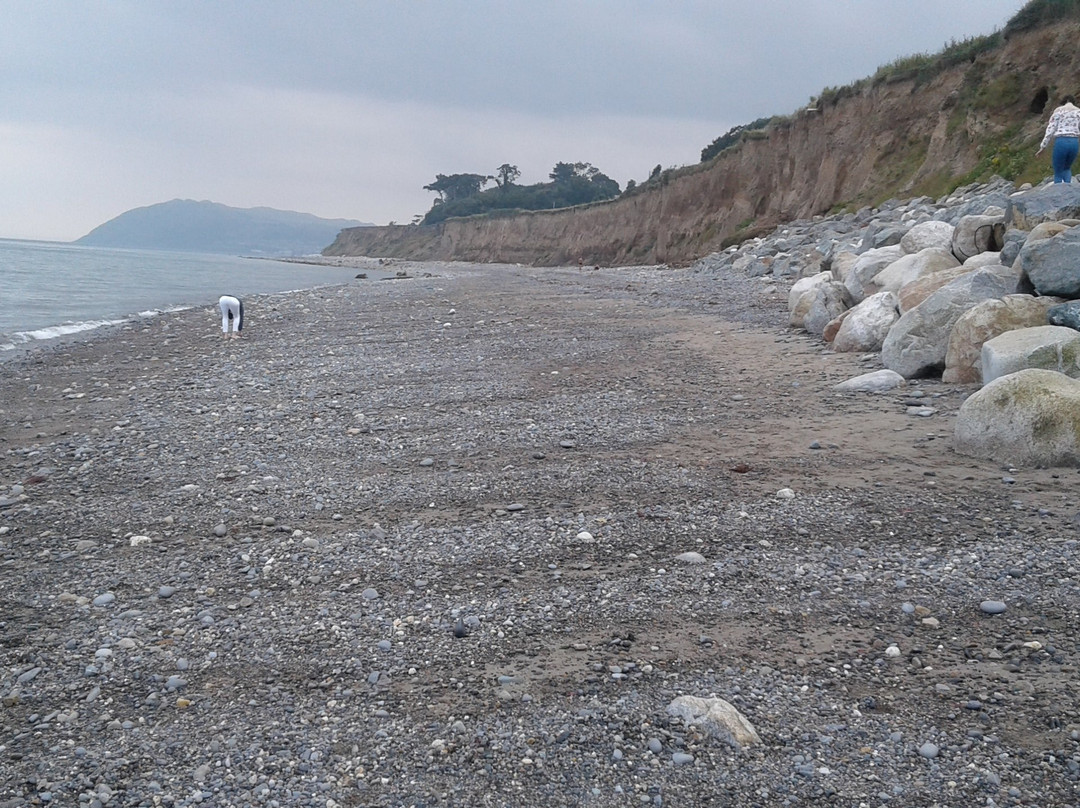 Shankill Beach-Shankill必去景点