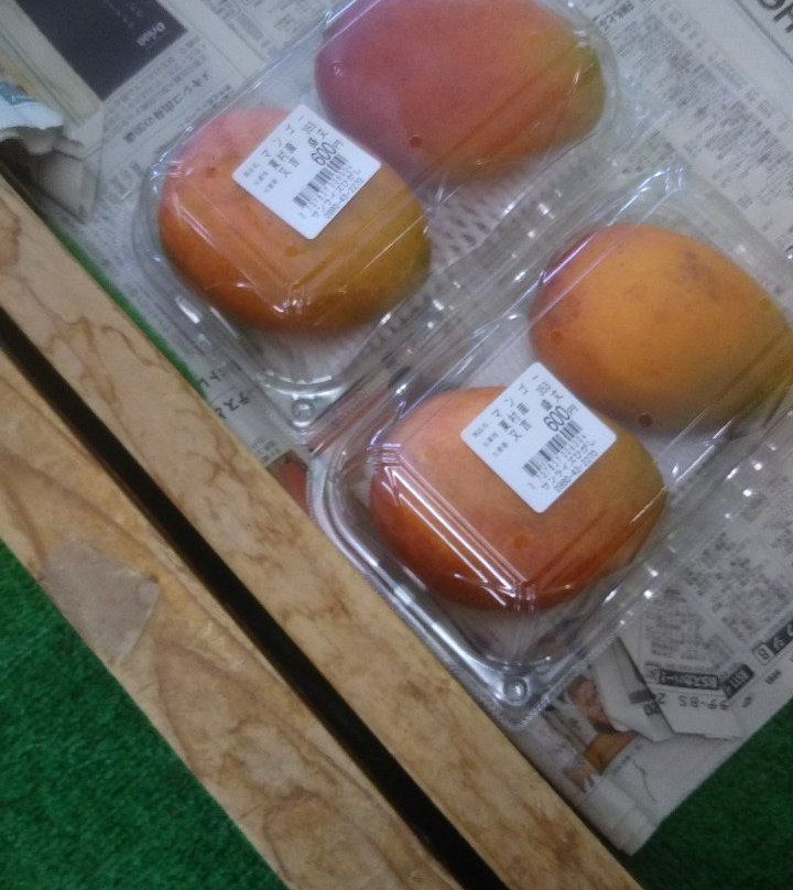 Sunrise Higashi-东村必去景点