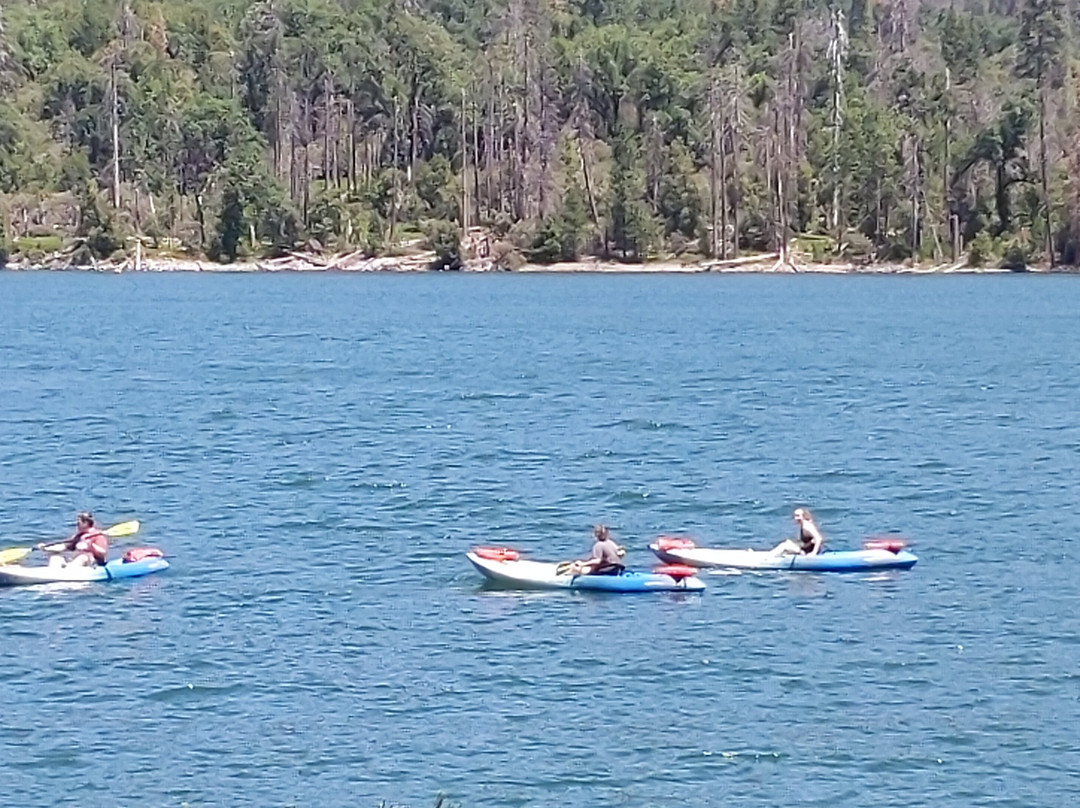 Bass Lake Water Sports Boat Rentals景点图片