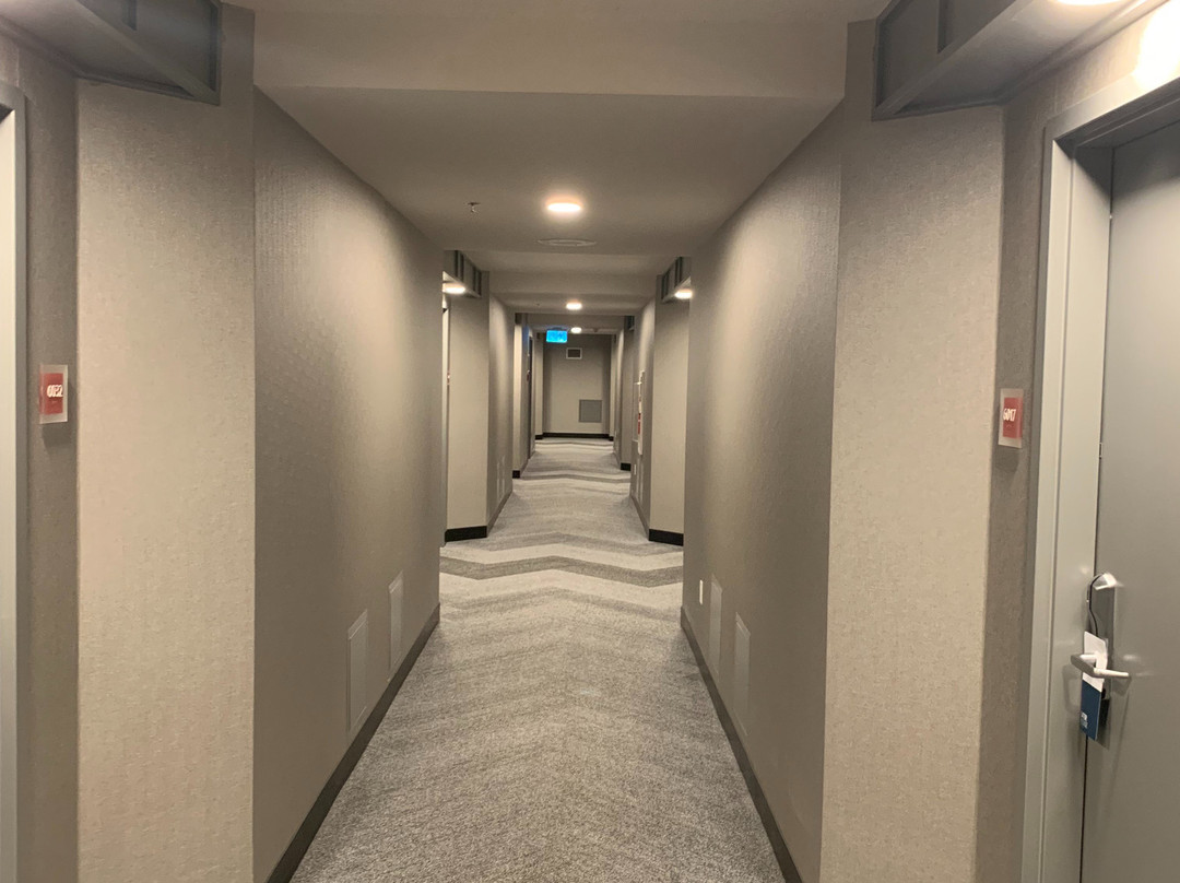 哈利法克斯福朋喜来登酒店主图