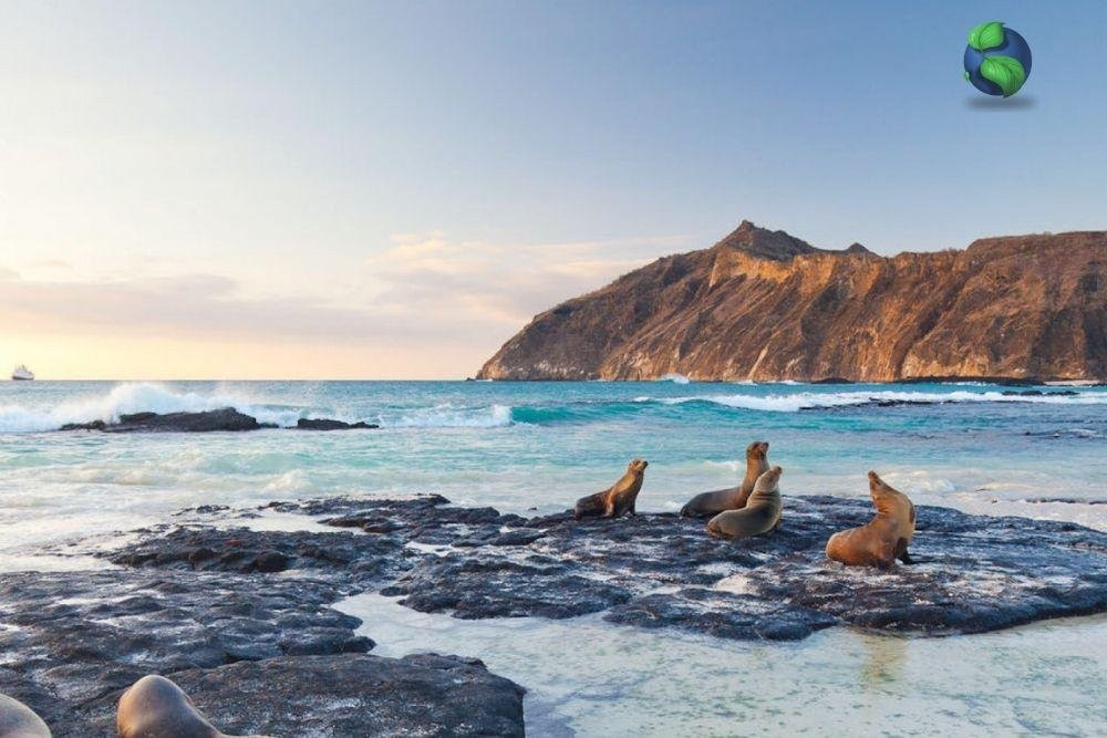 Smart Galapagos景点图片
