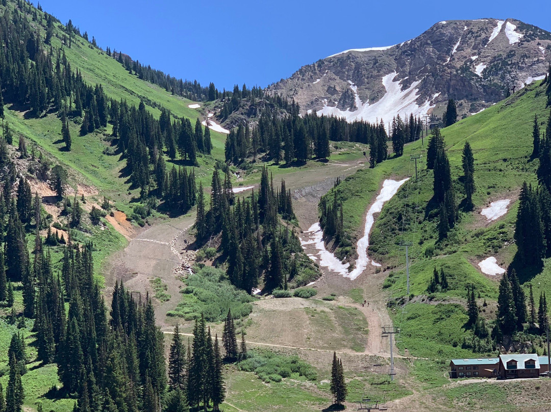 Snowbird-布莱敦必去景点