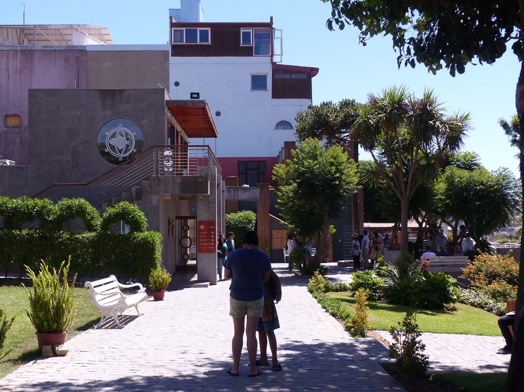 Mirador Pablo Neruda-比尼亚德尔马必去景点