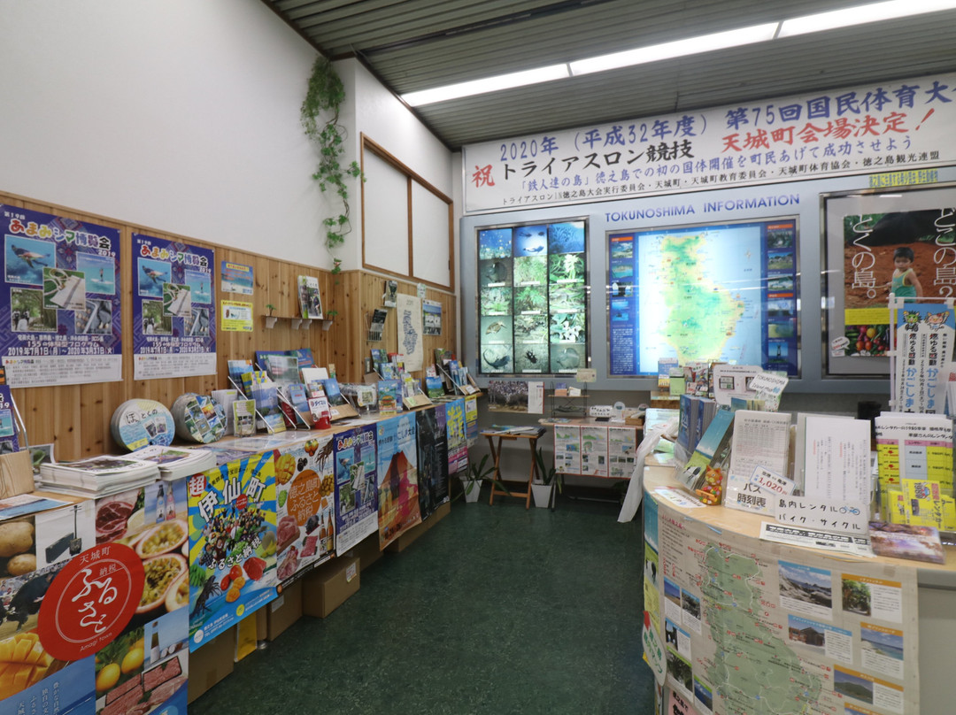 Tokunoshima Tourism Federation, Tourist Information Center景点图片