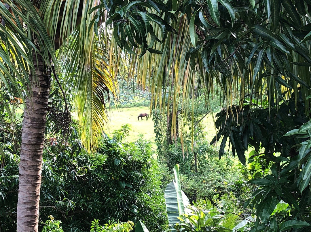 Hostal Trujillo主图