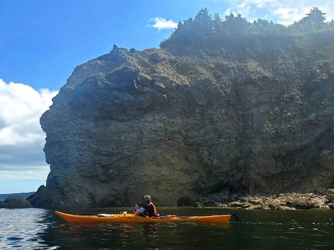 Cabot Trail Adventures-Dingwall必去景点