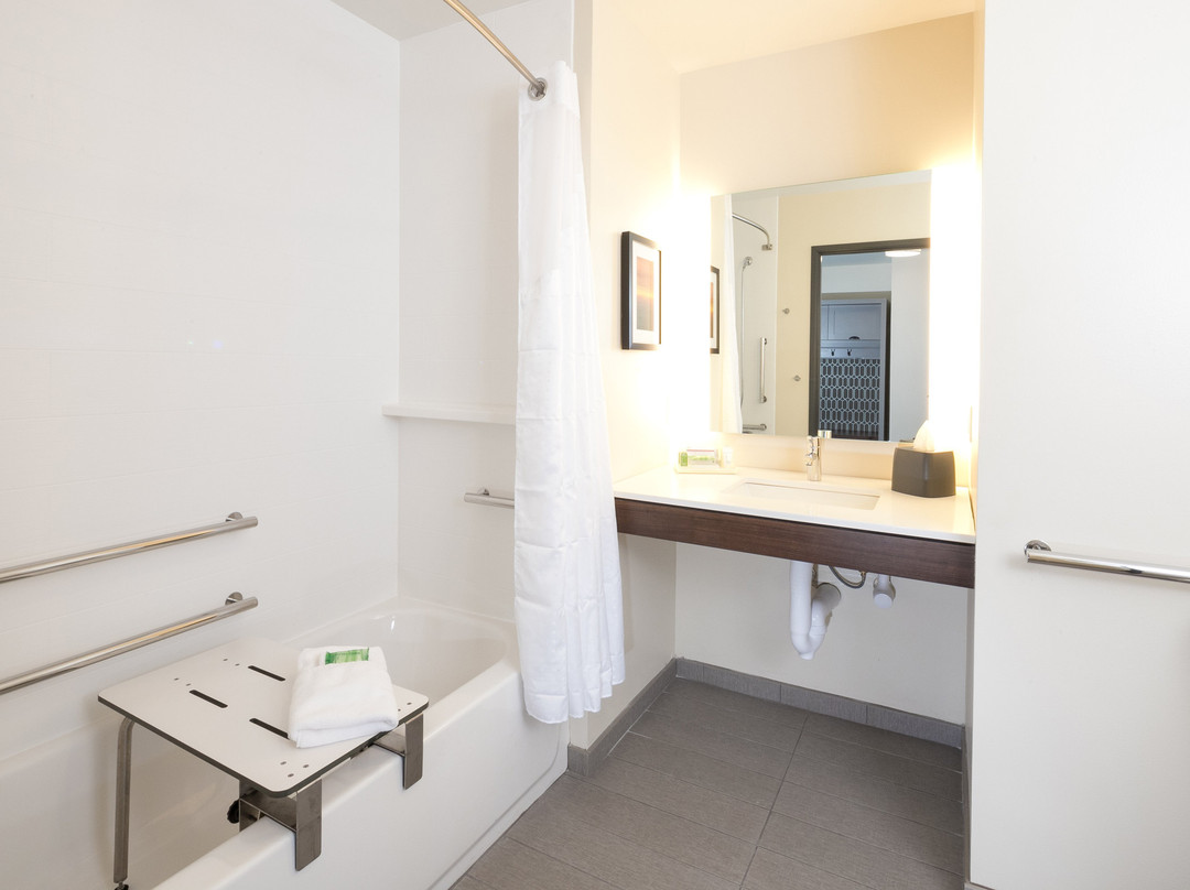 Holiday Inn & Suites Mount Pleasant By IHG主图