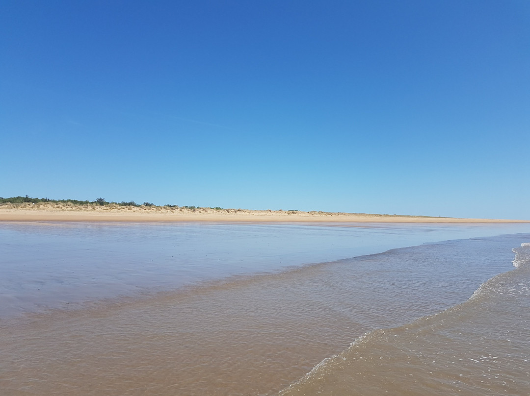 Plage Naturiste de la Pointe d'Arçay景点图片