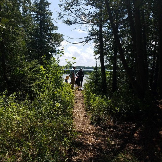 Cheboygan State Park景点图片