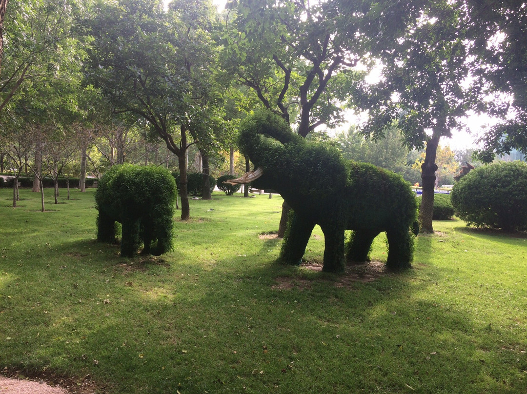 东营清风湖-东营市必去景点