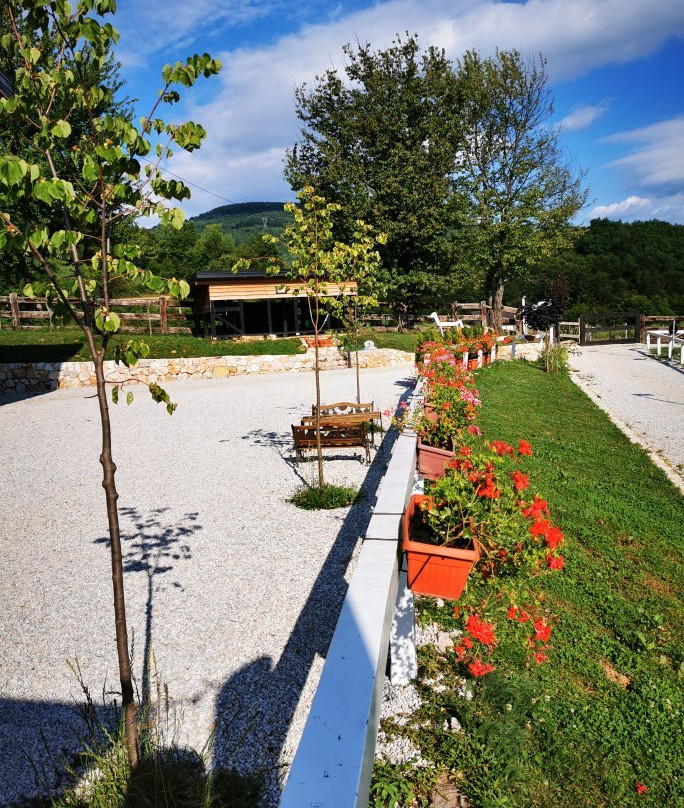 Lazy Horse Riding Center景点图片