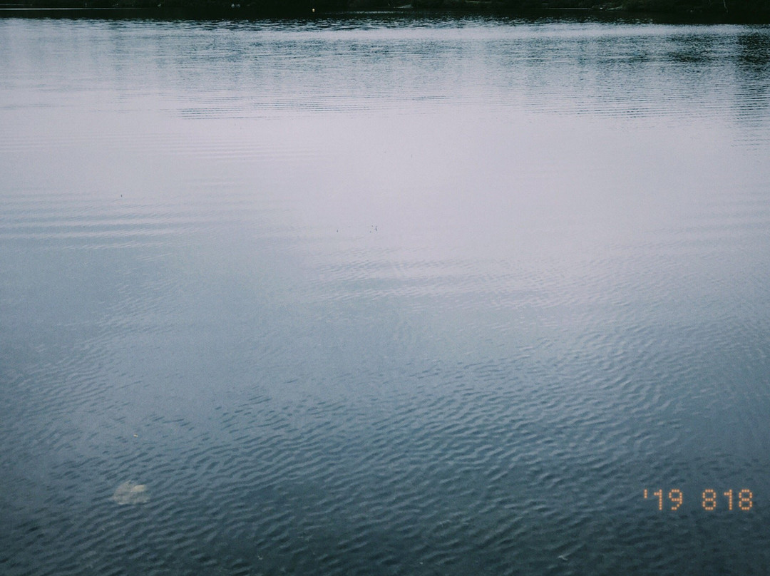 Rockwood Park景点图片