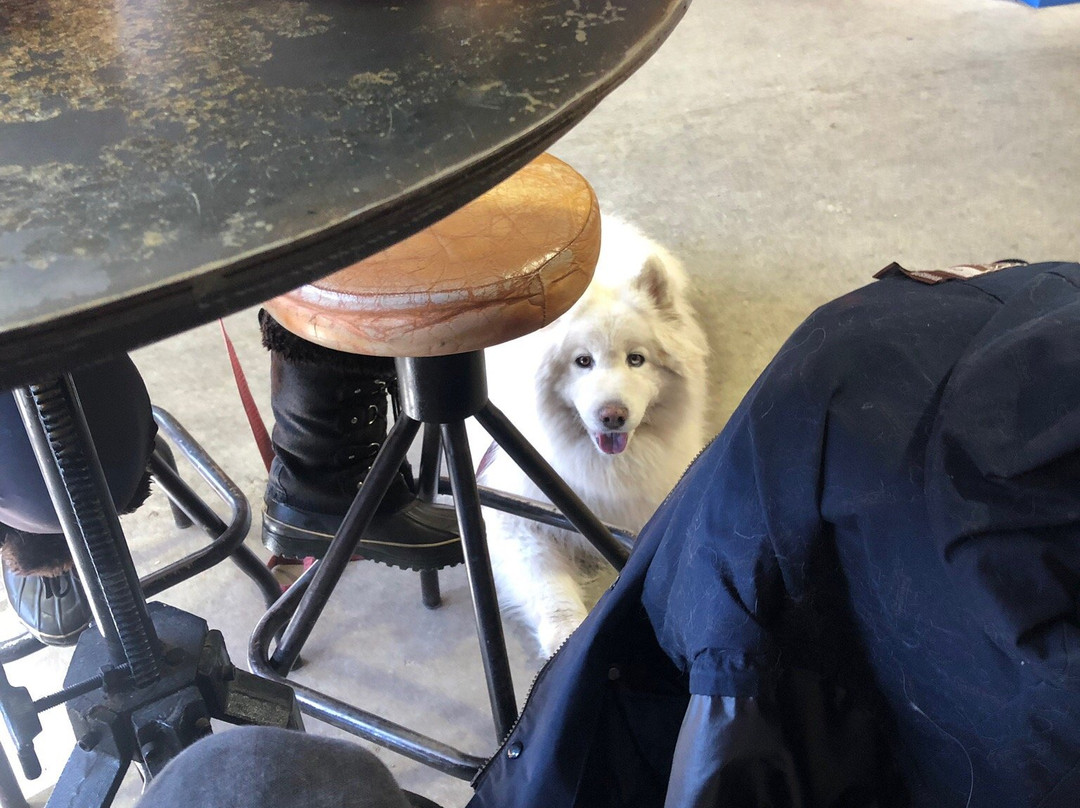 Blizzard Brewing Company-Dinner Plain必去景点