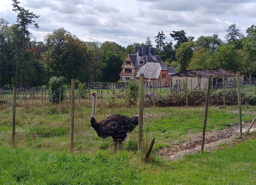 Doneu Ostrich Farm景点图片