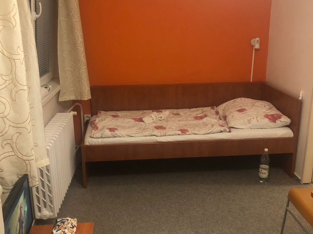 Best Hotel Garni主图