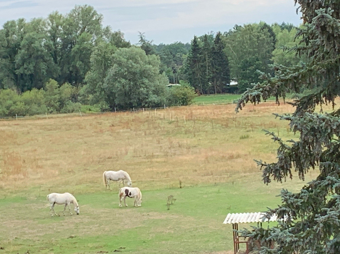 库罗斯特霍夫兰德酒店主图