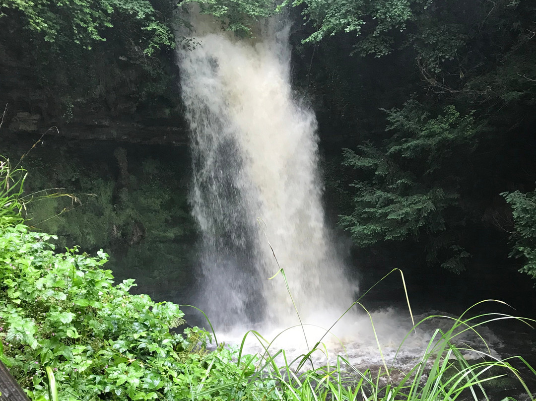 Glencar Waterfall景点图片