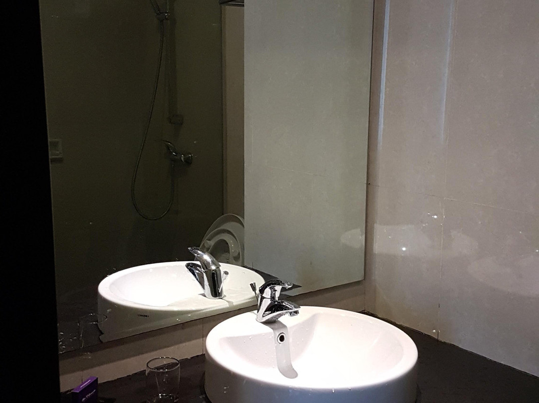 维也纳精品酒店主图