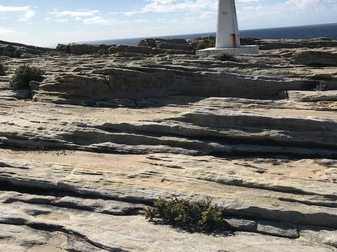 Malabar Headland National Park景点图片