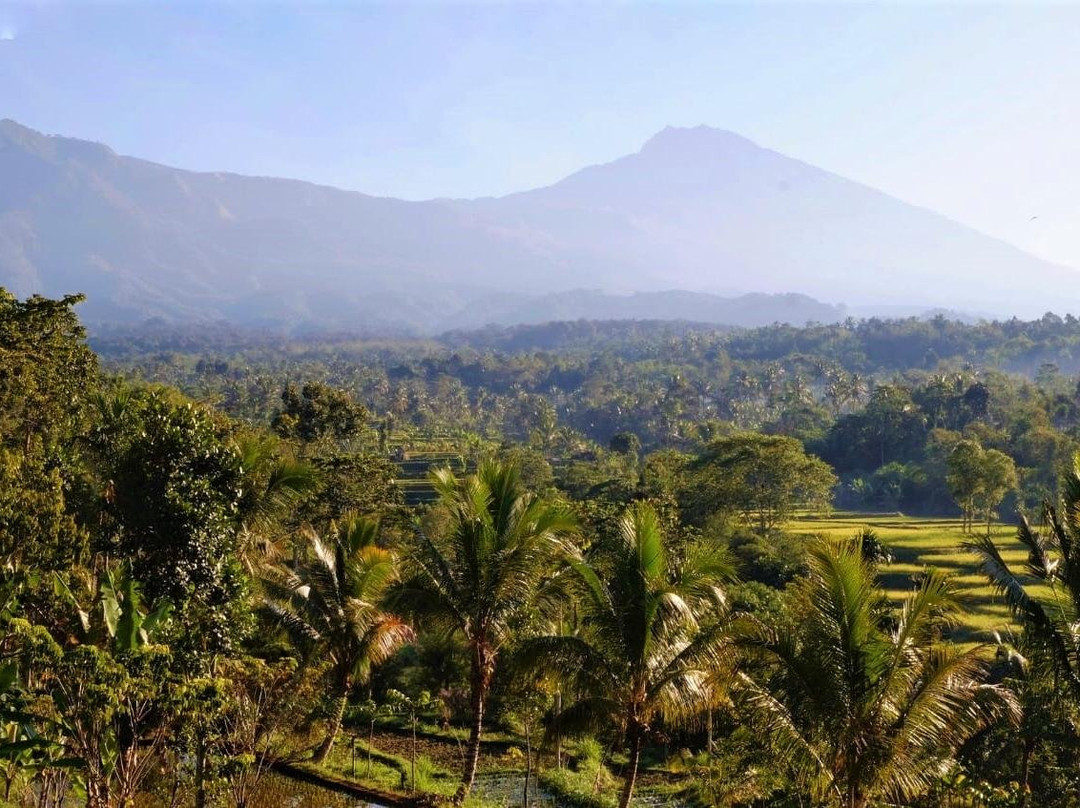 Lombok Trip景点图片