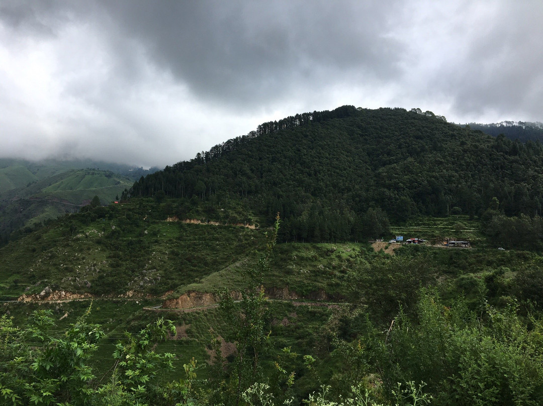 Hotel Snow View Chakrata主图