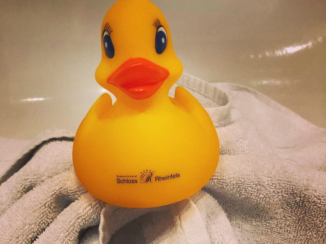 莱茵岩古堡酒店主图