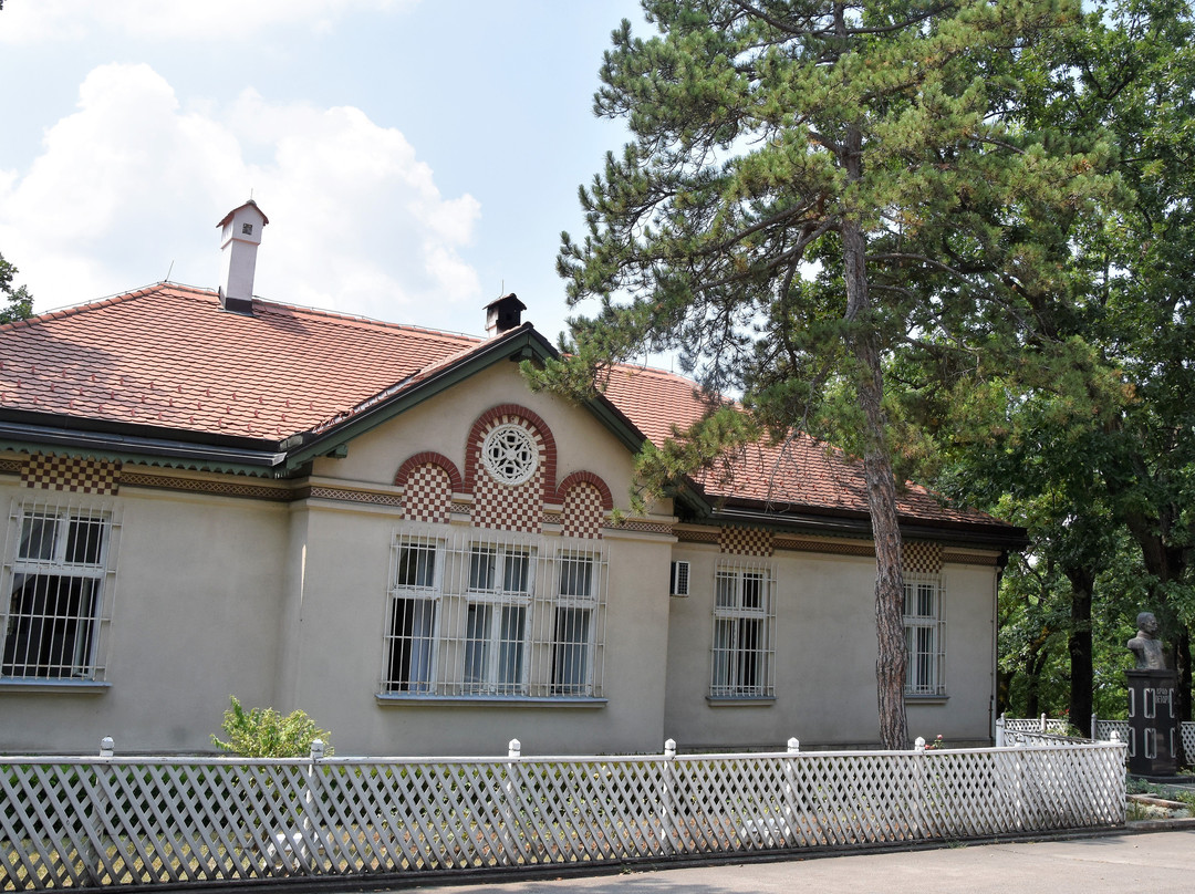King Peter’s House-Topola必去景点