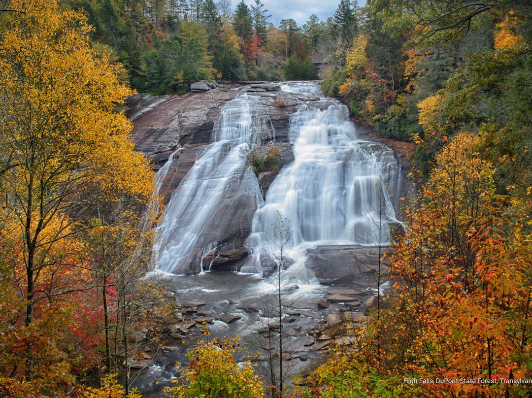 Comfort Inn & Suites主图