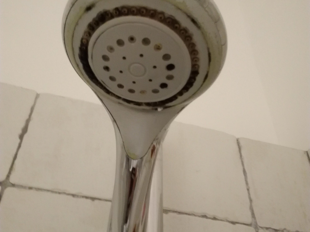 Eden Village Altura主图