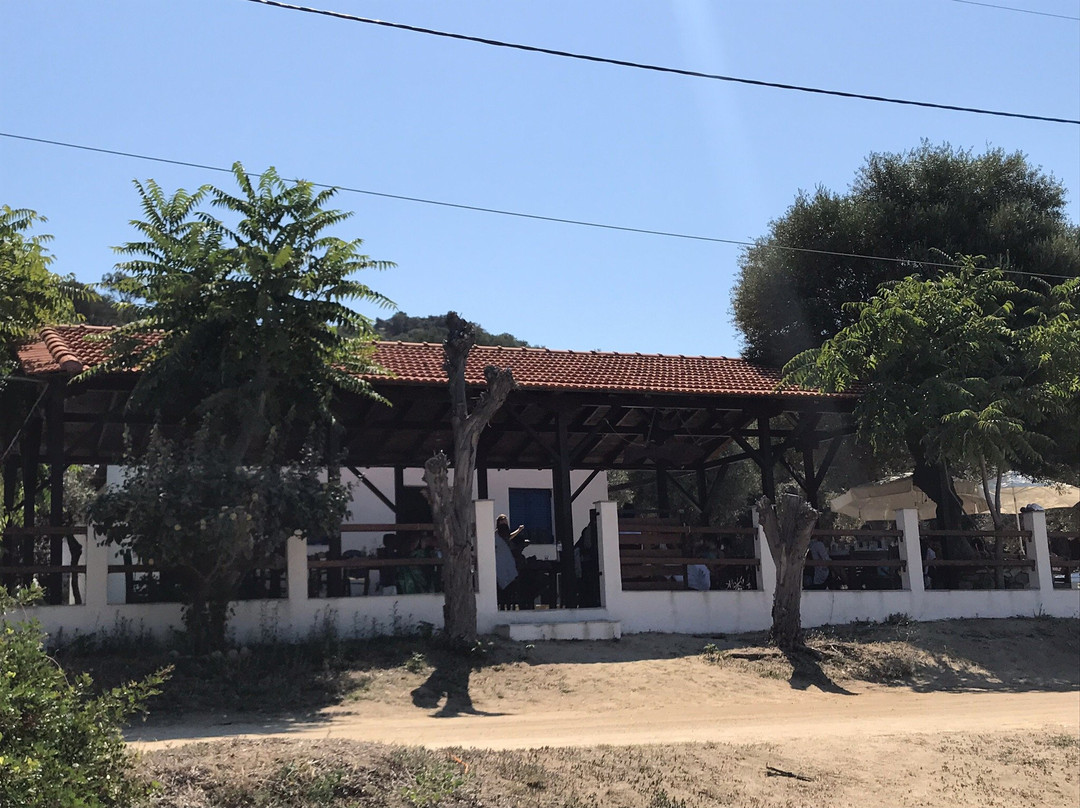 Agios Georgios Beach-Ammouliani必去景点