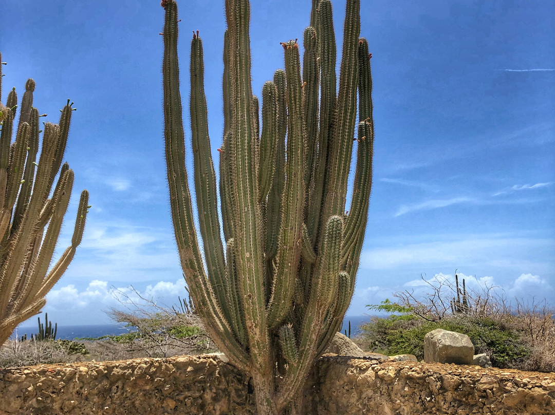 Alto Vista Chapel-奥腊涅斯塔德必去景点