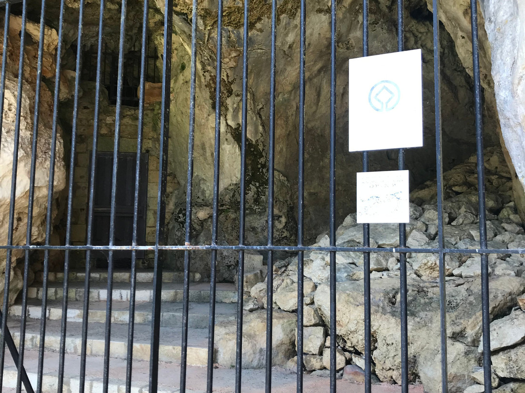 Font-de-Gaume Cave景点图片