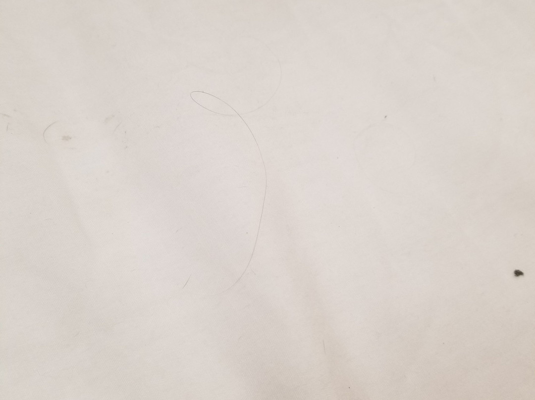 Microtel Inn & Suites by Wyndham Pueblo主图