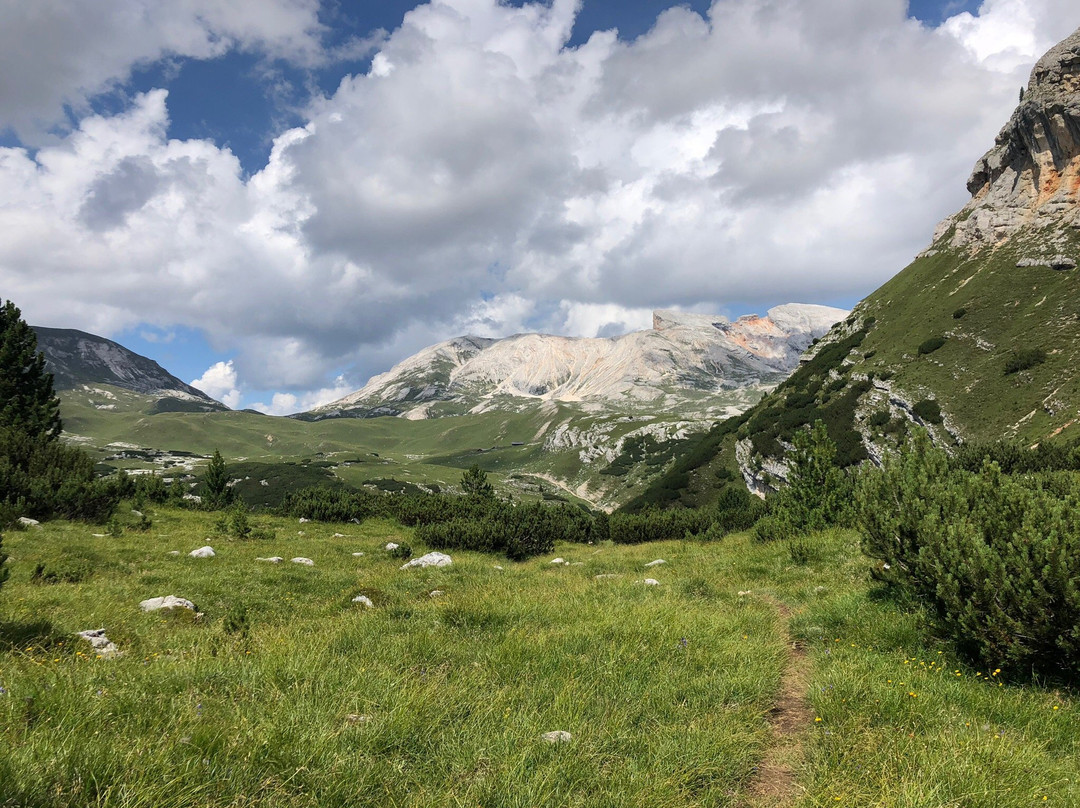 Alpe di Sennes景点图片