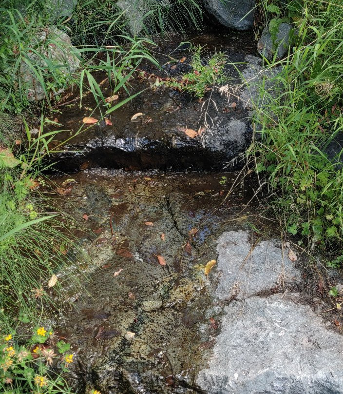 Bonhoeffer Botanical Gardens-Stanwood必去景点